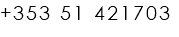 +353 51 421703