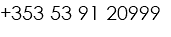 +353 53 91 20999