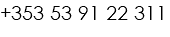 +353 53 91 22 311